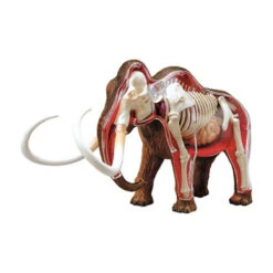 Revell Wooly Mammoth Anatomy Model